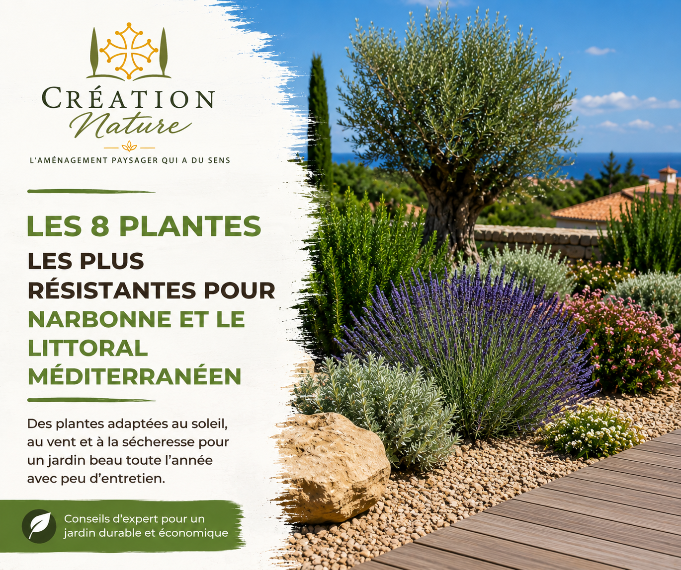 Les plantes les plus résistantes pour Narbonne, Bézier et le littoral méditerranéen