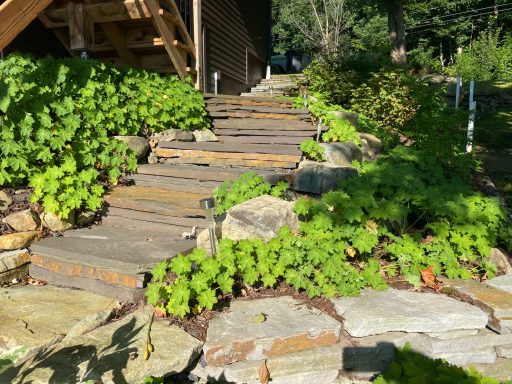 Avant / après d’un aménagement paysager en terrain en pente avec mur de soutènement en pierre naturelle, escalier de pierre, plantations et